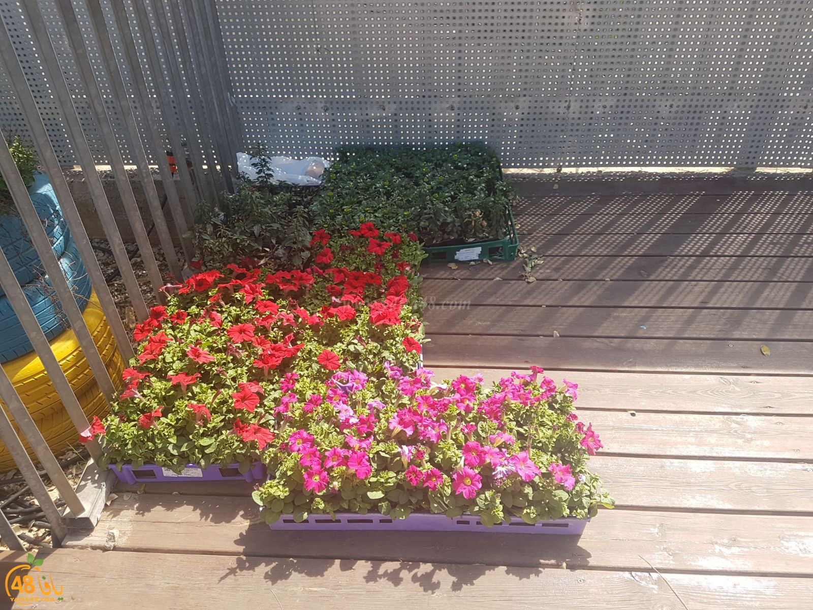 a3malkhayeret (49).jpg